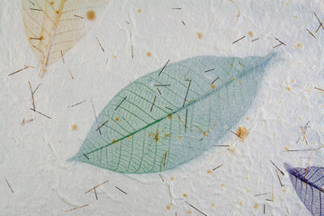 Paper with leaves