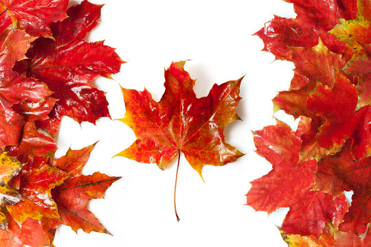 Flag of Canada, built from maple leaves
