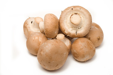 Egerlinge
