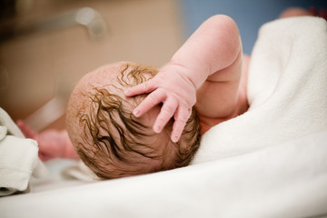Fototapeta Newborn baby girl obraz