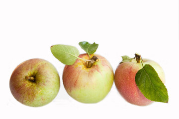 Three Apples