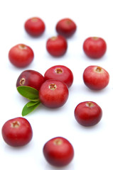 Sweet cranberry