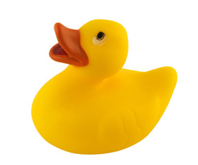 Toy Duck