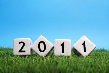 2011 nature