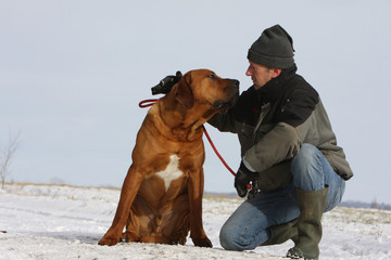 relation de confiance et d'amitié entre un homme et son chien