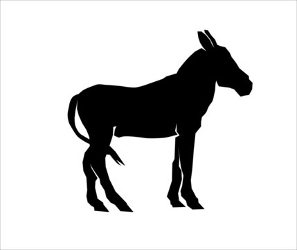 Silhouette of a mule