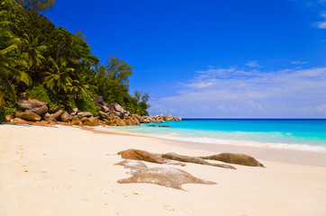 Tropical beach at island Praslin, Seychelles