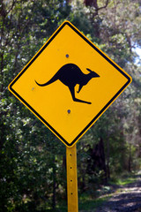 Kangaroo Sign