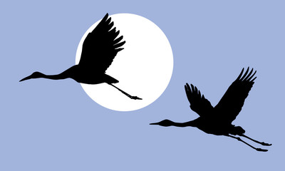 vector illustration of the cranes
