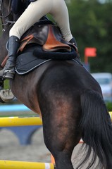 saut d'obstacles
