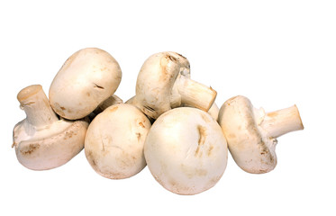 Fresh mushrooms