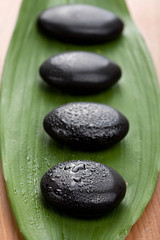 Fototapeta na wymiar black spa stones over leaf