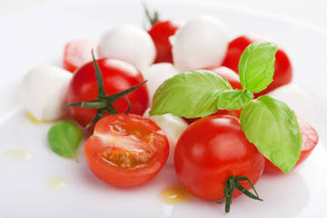 Fototapeta premium fresh salad