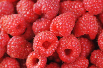 Ripe red raspberries