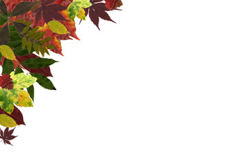 herbst Blätter Hintergrund