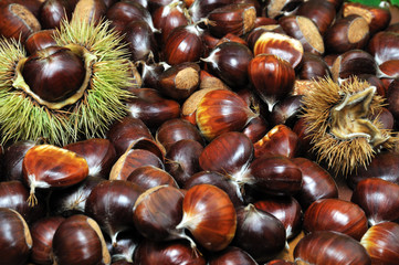 Kastanienansammlung