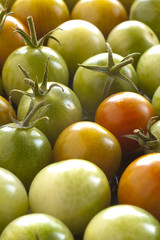 Several cherry tomatoes.