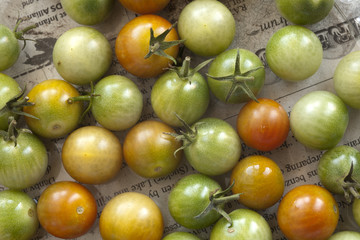 Close up of cherry tomatoes..