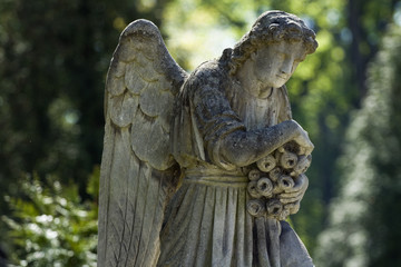 Kamienny cmentarny anioł , pomnik - obrazy, fototapety, plakaty