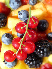 Johannisbeere auf gemischtem Obst