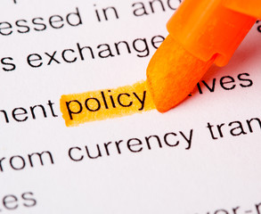 policy word