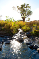 Owyhee River Canyon