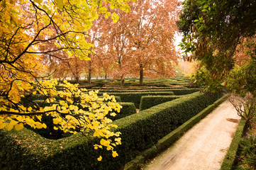 Parque jardín El Capricho (Madrid - España) - Laberínto y camino
