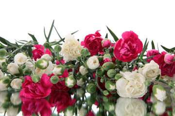 flowers,isolated.