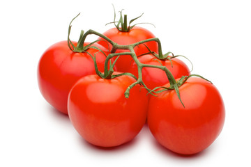 Tomatoes on a branch