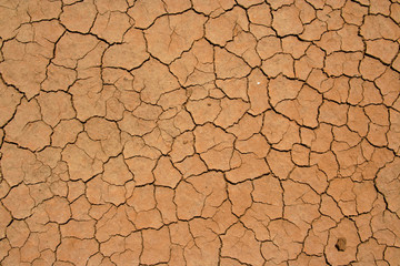 Cracked and dried mud texture