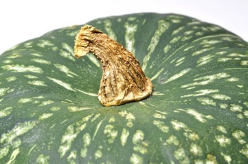 Macro Japanese Pumpkin