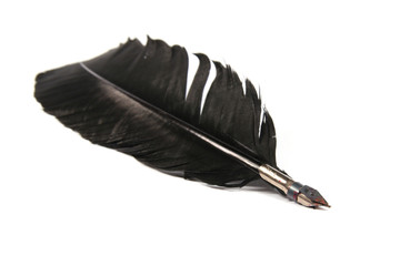 black feather isolated on white background