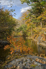 Woodsy river at autumn 4