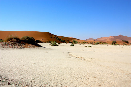 Clay pan in namib desert between dunes (sossusvlei, dead vlei)