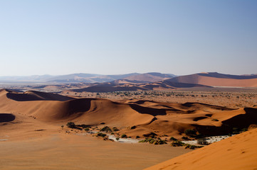 Fototapeta na wymiar Dune in the namib desert of Namibia (Sossusvlei)