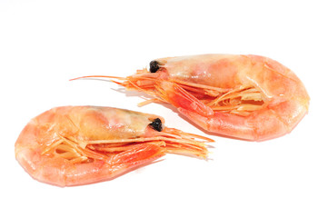 Prawns