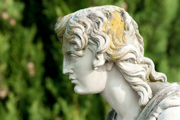 volto statua angelo - face angel statue