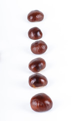 Chestnut