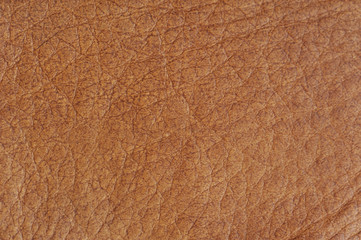 Leather background