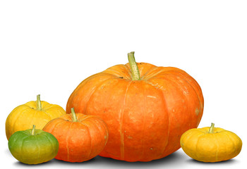 colorfull pumpkins collection