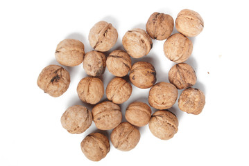 walnut