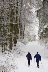 Nordic Walking im Winterwald