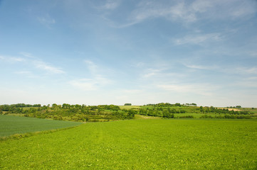 Dutch landscape