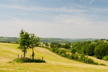 Fototapeta premium Green landscape with hills