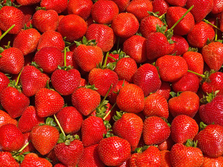 Ripe Red Strawberries at a Farmers Market