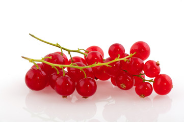 red currants