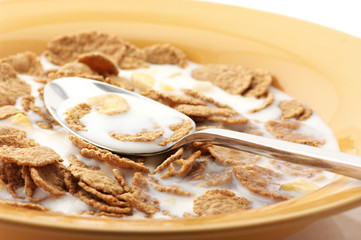 Breakfast cereal with milk