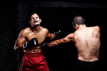 Mixed martial artists fighting - punching