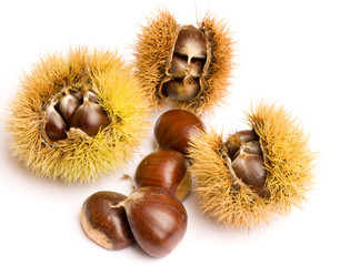 Castagne di stagione