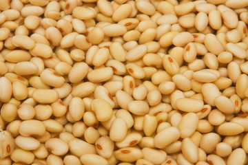 Soya beans soaked in water.